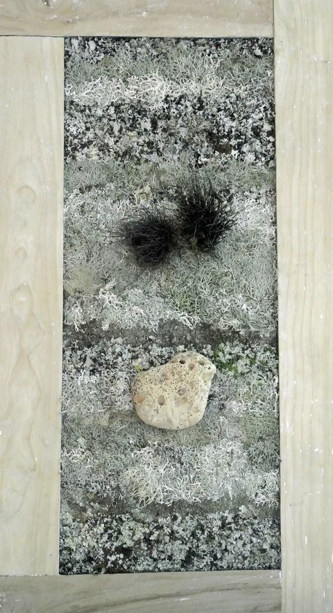 Fragments du territoire n°1 détail : mousses et lichens, fougères sèches et pierre.